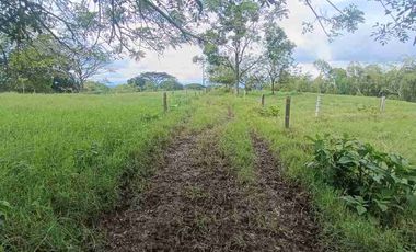 finca ganadera eje cafetero