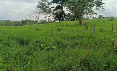 finca ganadera eje cafetero