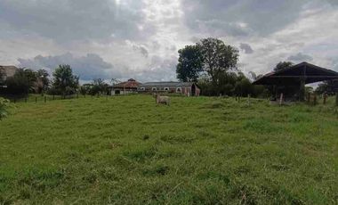 finca ganadera eje cafetero