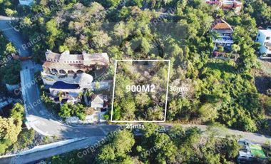 LOTE EN LA ROPA ZIHUATANEJO