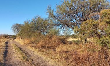 TERRENO CAMPESTRE EN VENTA