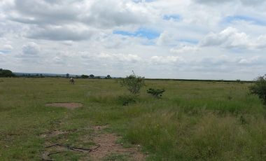 TERRENO CAMPESTRE EN VENTA