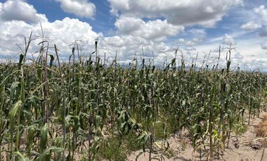 Propiedad en Venta en Huamantla, Tlaxcala cuenta con Casa, bodegas y espacio libre