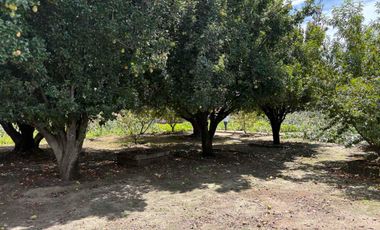 Propiedad en Venta en Huamantla, Tlaxcala cuenta con Casa, bodegas y espacio libre
