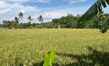 Cheap land on Kuranji beach, West Lombok