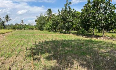 Cheap land on Kuranji beach, West Lombok