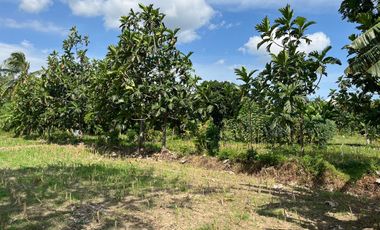 Cheap land on Kuranji beach, West Lombok