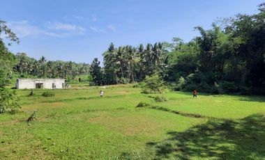 Dekat Sentolo View Tanah Kavling Strategis Legalitas Aman