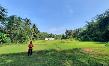 Dekat Sentolo View Tanah Kavling Strategis Legalitas Aman