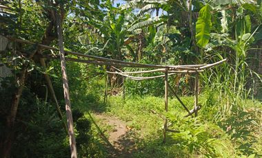 Tanah Area Bandara YIA Pinggir Jalan Deandles Purworejo