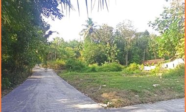 Dekat Bandara YIA Dijual Tanah Jogja SHM Cocok Hunian