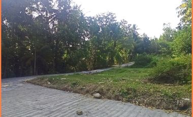 Dekat Bandara YIA Dijual Tanah Jogja SHM Cocok Hunian