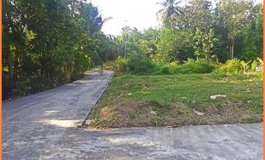 Dekat Bandara YIA Dijual Tanah Jogja SHM Cocok Hunian