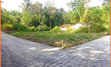 Dekat Bandara YIA Dijual Tanah Jogja SHM Cocok Hunian