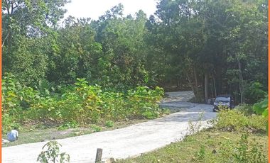 Panjatan, Tanah Jogja Dekat Bandara YIA