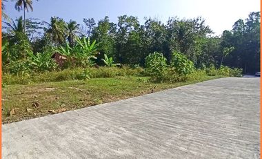 Panjatan, Tanah Jogja Dekat Bandara YIA