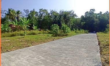 Panjatan, Tanah Jogja Dekat Bandara YIA