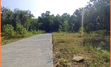 Panjatan, Tanah Jogja Dekat Bandara YIA