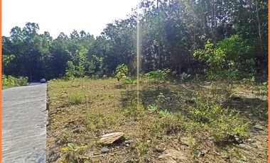 Panjatan, Tanah Jogja Dekat Bandara YIA