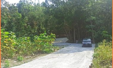 Panjatan, Tanah Jogja Dekat Bandara YIA