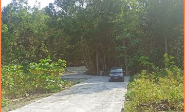 Panjatan, Tanah Jogja Dekat Bandara YIA