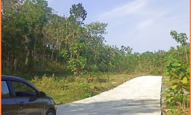 Panjatan, Tanah Jogja Dekat Bandara YIA