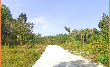 Panjatan, Tanah Jogja Dekat Bandara YIA