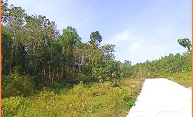 Panjatan, Tanah Jogja Dekat Bandara YIA