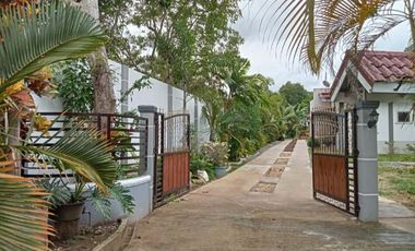 Spacious Studio Unit for Rent – Furnished, with 3 Beds, Bingag Dauis  | BOHOLANA REALTY