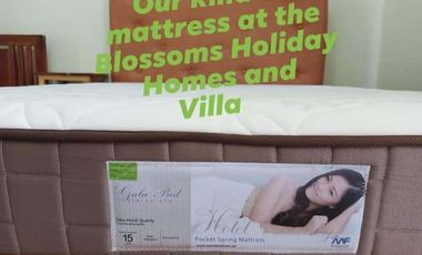 Spacious Studio Unit for Rent – Furnished, with 3 Beds, Bingag Dauis  | BOHOLANA REALTY