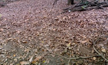 Dijual Tanah Darat Bebas Banjir Di Plemahan Kediri Jawatimur