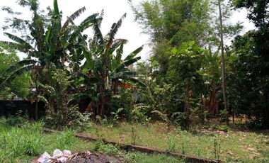 Dijual Tanah Darat Bebas Banjir Di Plemahan Kediri Jawatimur