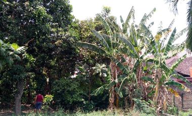 Dijual Tanah Darat Bebas Banjir Di Plemahan Kediri Jawatimur