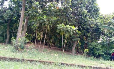 Dijual Tanah Darat Bebas Banjir Di Plemahan Kediri Jawatimur