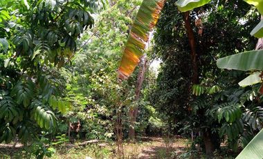 Dijual Tanah Darat Bebas Banjir Di Plemahan Kediri Jawatimur