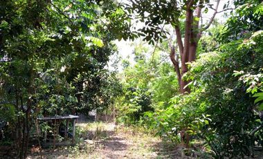 Dijual Tanah Darat Bebas Banjir Di Plemahan Kediri Jawatimur