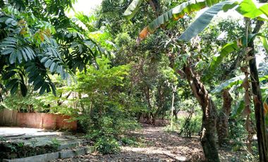 Dijual Tanah Darat Bebas Banjir Di Plemahan Kediri Jawatimur