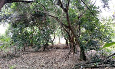 Dijual Tanah Darat Bebas Banjir Di Plemahan Kediri Jawatimur