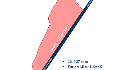 Commercial lot along main road of Sta. Maria - For SALE!