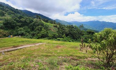 Baguio Golden Hills Subdivision Residential Lot For Sale or House and Lot Package in Tadiangan Tuba Benguet 6,250 per sqm SD