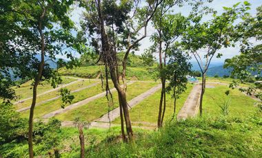 Baguio Golden Hills Subdivision Residential Lot For Sale or House and Lot Package in Tadiangan Tuba Benguet 6,250 per sqm SD