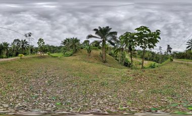 PUERTO QUITO, URB EL MANATIAL VENDO 2 LOTES 1345m2