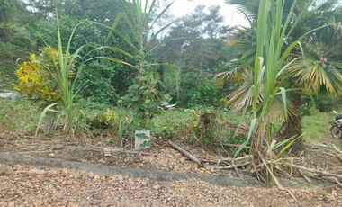 PUERTO QUITO, URB EL MANATIAL VENDO 2 LOTES 1345m2