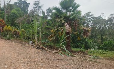 PUERTO QUITO, URB EL MANATIAL VENDO 2 LOTES 1345m2