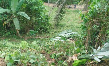 PUERTO QUITO, URB EL MANATIAL VENDO 2 LOTES 1345m2