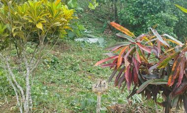 PUERTO QUITO, URB EL MANATIAL VENDO 2 LOTES 1345m2