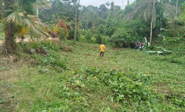 PUERTO QUITO, URB EL MANATIAL VENDO 2 LOTES 1345m2