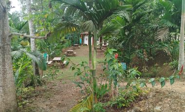 PUERTO QUITO, URB EL MANATIAL VENDO 2 LOTES 1345m2