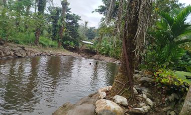 PUERTO QUITO, URB EL MANATIAL VENDO 2 LOTES 1345m2