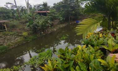 PUERTO QUITO, URB EL MANATIAL VENDO 2 LOTES 1345m2